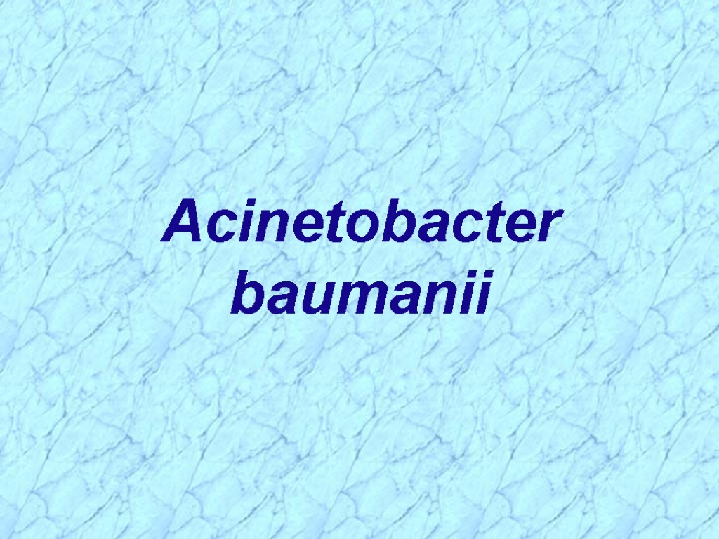 Acinetobacter baumanii